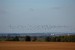 zdetin2011_lovy_6855_cejky